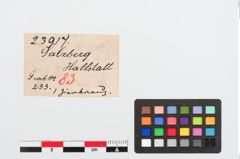 Etiketten zu Bronzeriemendurchzug (NHMW-PRAE-023917)